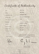 Roof Tops, Signed Limited Edition by Bill Tolley Certificate