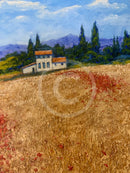 Summer Poppies, Provence - ORIGINAL by Geoffrey Smith detail