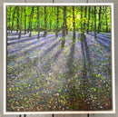 The Colour of the Woodland by Paul Freeman 