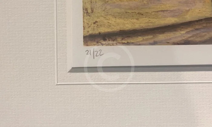 Edition Number 