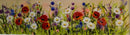 Wildflower Meadow (10X35) Original Painting By Rozanne Bell