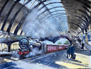 Steam train at York station with people around, under a large arched roof.