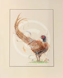 Suited & Booted Limited Edition Large Pheasant Print by Aaminah Snowden Mounted Art Print