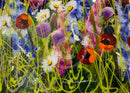 Summer Meadow Wild Flowers & Poppies  (18x36")  ORIGINAL PAINTING by Rozanne Bell