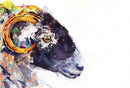 Swaledale, Limited Edition by Kate Stephens