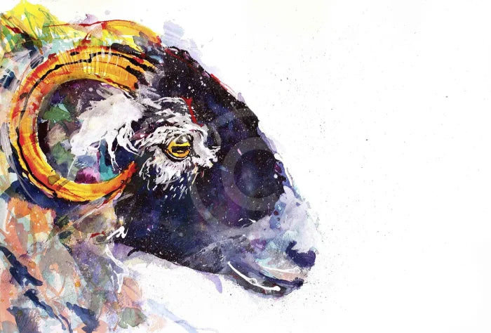 Swaledale, Limited Edition by Kate Stephens