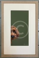 Taking a Peek by Nicky Litchfield Limited Edition Print framed