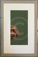 Taking a Peek by Nicky Litchfield Limited Edition Print framed