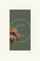Taking a Peek by Nicky Litchfield Limited Edition Print