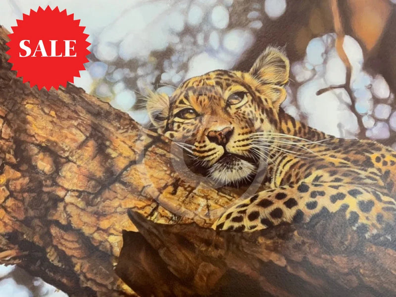 That Time Of Day, Wild Cat Limited Edition Print by Lyndsey Selley