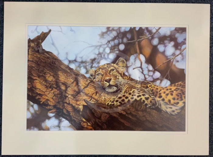 That Time Of Day, Wild Cat Limited Edition Print by Lyndsey Selley