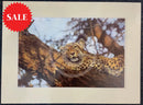 That Time Of Day, Wild Cat Limited Edition Print by Lyndsey Selley
