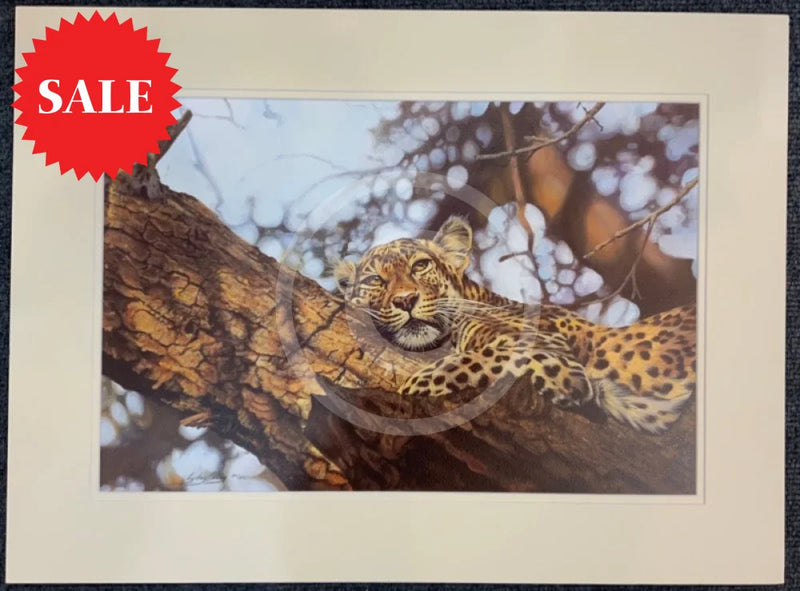 That Time Of Day, Wild Cat Limited Edition Print by Lyndsey Selley