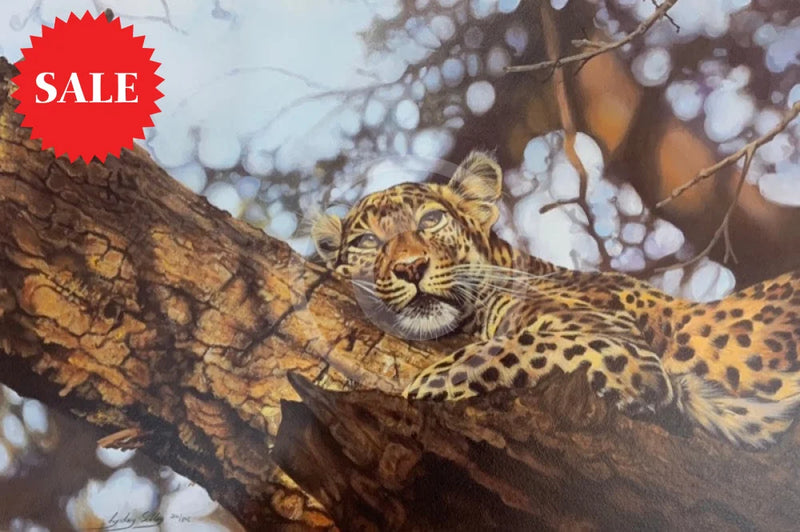 That Time Of Day, Wild Cat Limited Edition Print by Lyndsey Selley