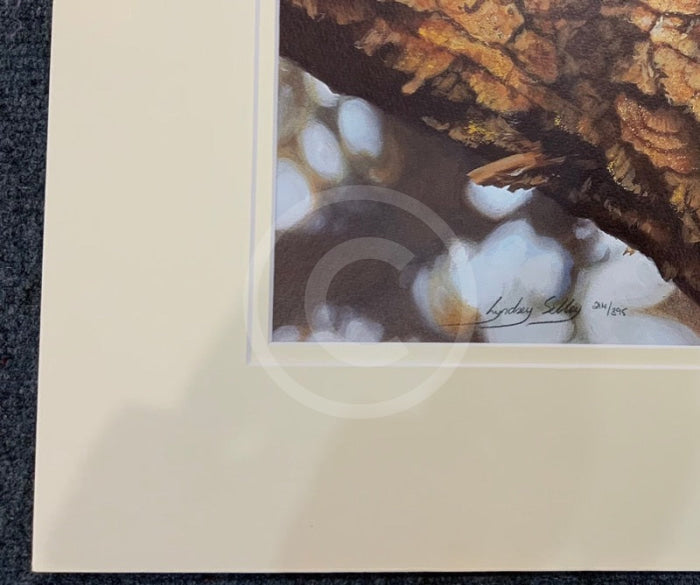 That Time Of Day Wild Cat Limited Edition Print By Lyndsey Selley