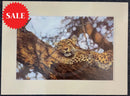 That Time Of Day, Wild Cat Limited Edition Print by Lyndsey Selley