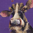 The Admiral by Amanda Stratford