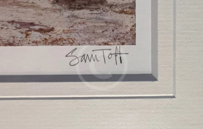 Artist Signature