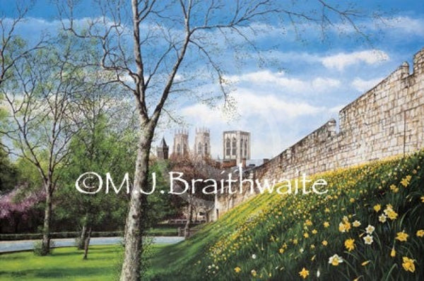 The City Walls By Mark Braithwaite