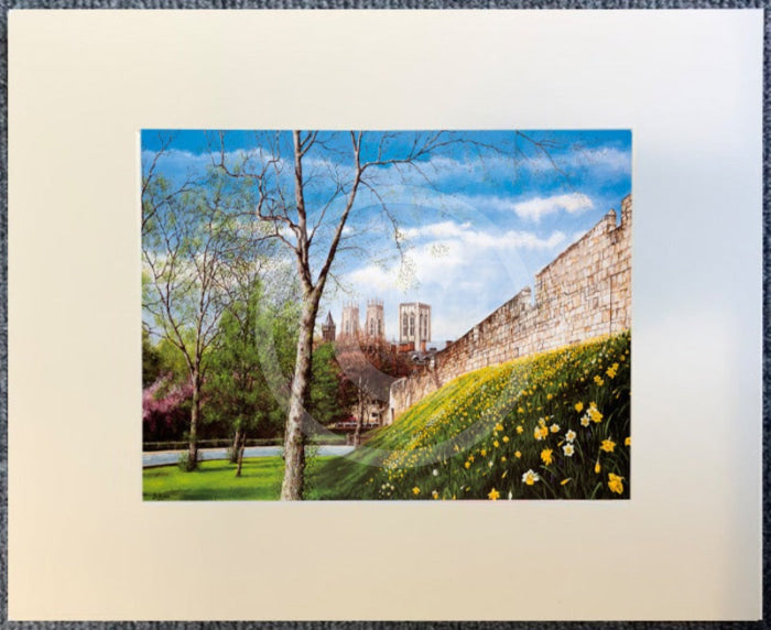 The City Walls by Mark Braithwaite
