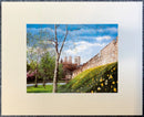 The City Walls by Mark Braithwaite