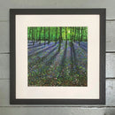 The Colour Of The Woodland Giclee Print By Paul Freeman Framed Large Linear Black (C) Art Print