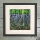 The Colour Of The Woodland Giclee Print By Paul Freeman Framed Large Linear Black (C) Art Print