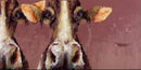 The Coworkers, quirky cow print by Amanda Stratford 
