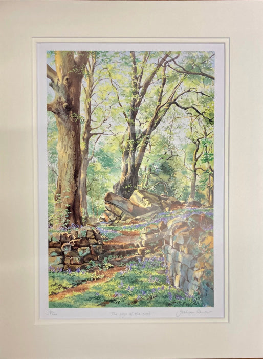The Edge of the Wood LIMITED EDITION by Graham Carver