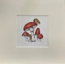 The Fairy Ring by Hannah Dale