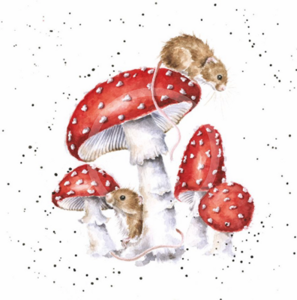 The Fairy Ring By Hannah Dale