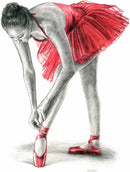 The Red Tutu 1 By Mark Braithwaite