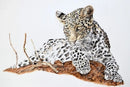 The Sentinel By Nicola Gillyon 300 X 400Mm
