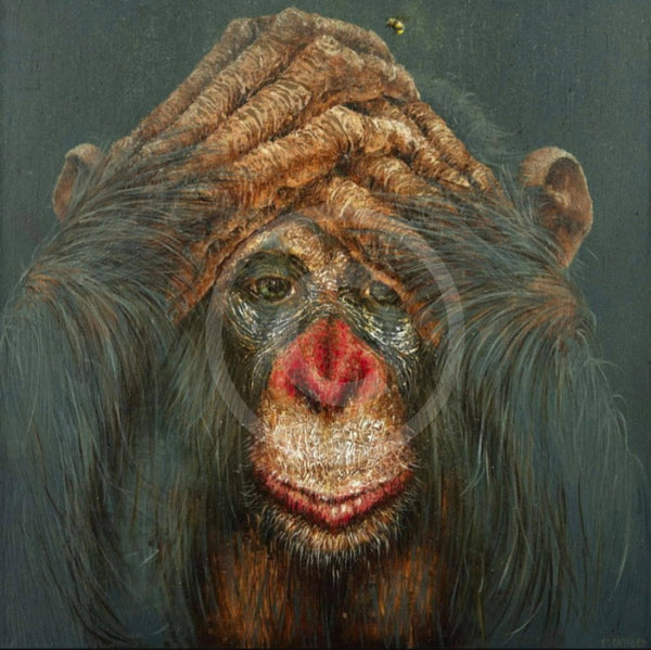 The Sting Chimp Monkey Print by Amanda Stratford