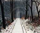 The Woods are Lovely, Dark and Deep by Peter Brook