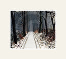 The Woods are Lovely, Dark and Deep by Peter Brook mounted