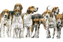 There's Always One, Foxhounds by Nicola Gillyon