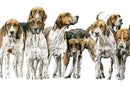 There's Always One, Foxhounds by Nicola Gillyon