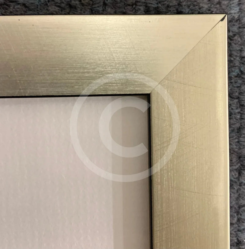 These Days Are Ours By Sam Toft - Framed Limited Edition Secondary Market (Gj)