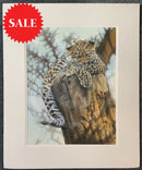 This Is Such Hard Work,  Limited Edition Wildlife Big Cat Cheetah Print by Lyndsey Selley