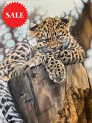 This Is Such Hard Work Limited Edition Wildlife Big Cat Cheetah Print By Lyndsey Selley