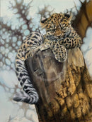 This Is Such Hard Work,  Limited Edition Wildlife Big Cat Cheetah Print by Lyndsey Selley