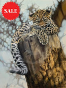 This Is Such Hard Work,  Limited Edition Wildlife Big Cat Cheetah Print by Lyndsey Selley