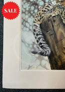 This Is Such Hard Work,  Limited Edition Wildlife Big Cat Cheetah Print by Lyndsey Selley