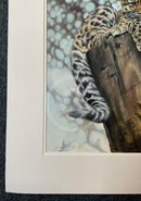 This Is Such Hard Work,  Limited Edition Wildlife Big Cat Cheetah Print by Lyndsey Selley