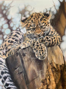 This Is Such Hard Work Limited Edition Wildlife Big Cat Cheetah Print By Lyndsey Selley
