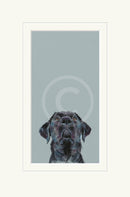 Treat Time by Nicky Litchfield