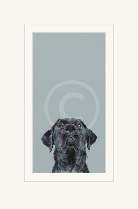 Treat Time by Nicky Litchfield