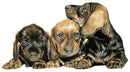 Trouble Ahead By Nicola Gillyon 300 X 400Mm / White Mount