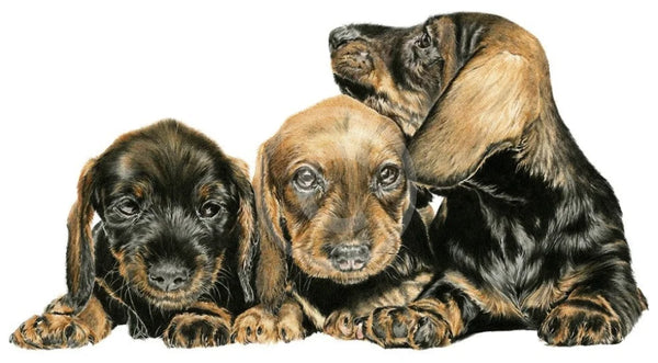 Trouble Ahead By Nicola Gillyon 300 X 400Mm / White Mount